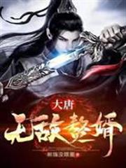 大唐無敵贅婿 大唐無敵贅婿