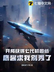 開局獲得七代機圖紙,鷹醬求我別秀了 開局獲得七代機圖紙,鷹醬求我別秀了
