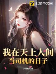 我在天上人間當司機的日子 我在天上人間當司機的日子