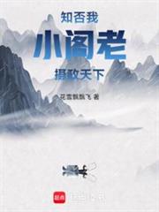知否:我,小閣老,攝政天下 知否:我,小閣老,攝政天下