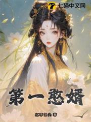第一憨婿 第一憨婿