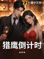 獵鷹倒計時 獵鷹倒計時