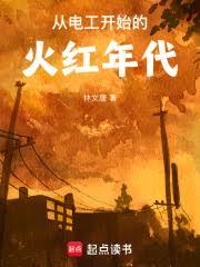 從電工開始的火紅年代 從電工開始的火紅年代