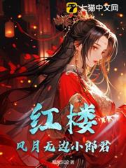 紅樓：開局錯婚王熙鳳