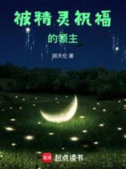 被精靈祝福的領主 被精靈祝福的領主