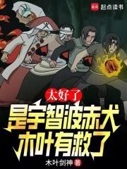 火影圓夢大師！