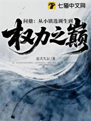 問鼎:從小鎮選調生到權力之巔 問鼎:從小鎮選調生到權力之巔