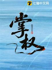 掌權 掌權