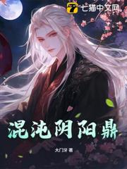 混沌陰陽鼎 混沌陰陽鼎