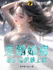 走錯婚房,極品總裁賴上我 走錯婚房,極品總裁賴上我