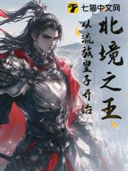 北境悍王 北境悍王