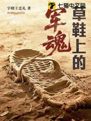 草鞋上的軍魂 草鞋上的軍魂