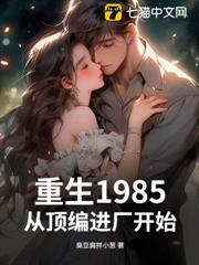 重生1985:從頂編進廠開始 重生1985:從頂編進廠開始