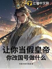 讓你當假皇帝,你改國號做什麼? 讓你當假皇帝,你改國號做什麼?