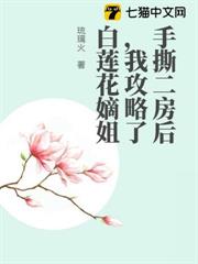 手撕二房後,我攻略了白蓮花嫡姐 手撕二房後,我攻略了白蓮花嫡姐