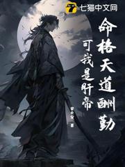命格天道酬勤？可我是肝帝！