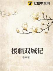 援疆雙城記 援疆雙城記