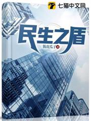 民生之盾 民生之盾