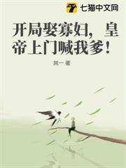 開局娶寡婦,皇帝上門喊我爹! 開局娶寡婦,皇帝上門喊我爹!