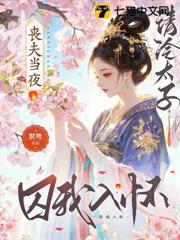 喪夫當夜,清冷太子囚我入懷 喪夫當夜,清冷太子囚我入懷