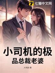 小司機的極品總裁老婆 小司機的極品總裁老婆