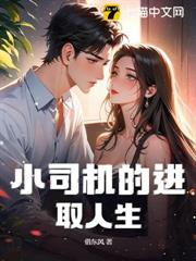 小司機的進取人生 小司機的進取人生