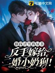 腳踩渣男踢綠茶,反手嫁給二婚小奶狗! 腳踩渣男踢綠茶,反手嫁給二婚小奶狗!