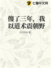 傻了三年,我以道術震朝野 傻了三年,我以道術震朝野