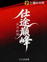 從司機到仕途巔峰 從司機到仕途巔峰