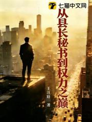 從縣長秘書到權力之巔