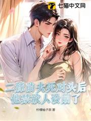 二嫁前夫死對頭後,他禁慾人設崩了 二嫁前夫死對頭後,他禁慾人設崩了