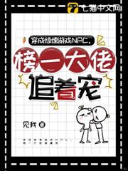 穿成驚悚遊戲NPC,榜一大佬追著寵 穿成驚悚遊戲NPC,榜一大佬追著寵
