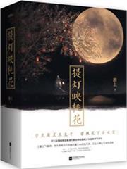 提燈映桃花 提燈映桃花
