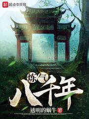 鍊氣八千年 鍊氣八千年