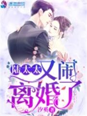 陸太太又鬧離婚了 陸太太又鬧離婚了