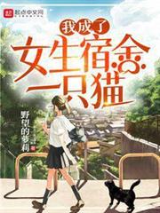 我成了女生宿舍一隻貓 我成了女生宿舍一隻貓