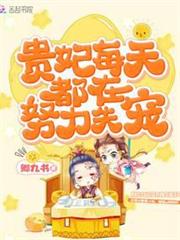 貴妃每天都在努力失寵 貴妃每天都在努力失寵