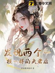 發現兩個一模一樣的夫君後 發現兩個一模一樣的夫君後