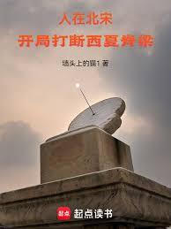 人在北宋,開局打斷西夏脊樑! 人在北宋,開局打斷西夏脊樑!