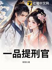 一品提刑官 一品提刑官