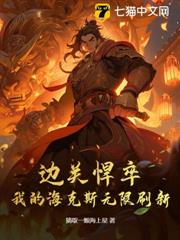 邊關悍卒:我的海克斯無限刷新 邊關悍卒:我的海克斯無限刷新