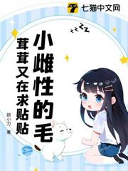 小雌性的毛茸茸又在求貼貼