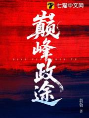 巔峰政途