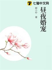晝夜婚寵 晝夜婚寵