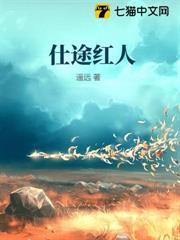 仕途紅人 仕途紅人