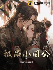 極品小國公