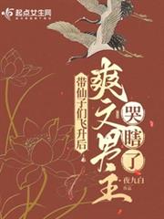 帶仙子們飛升後,爽文男主哭瞎了 帶仙子們飛升後,爽文男主哭瞎了