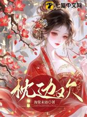 枕邊歡 枕邊歡