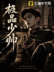 極品少帥