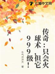 傳奇:只會火球術,但它999級! 傳奇:只會火球術,但它999級!